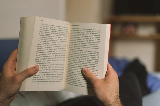 Vogelkoje (Rezension von Alisha Bionda) Vogelkoje (Rezension von Alisha Bionda)