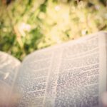 Mein Mann, der Rentner, und dieses Internet von Rosa Schmidt Mein Mann, der Rentner, und dieses Internet von Rosa Schmidt